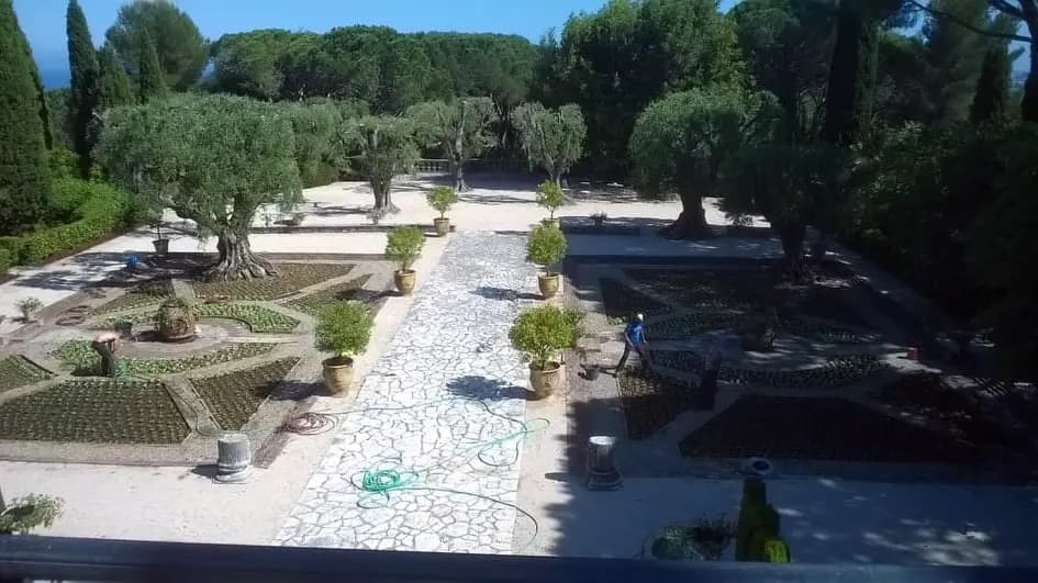 Plantation